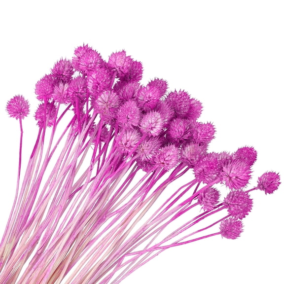 Uxcell Dried Flowers for Vase, Mini Pine Ball Flowers Natural Bouquet Rose Red