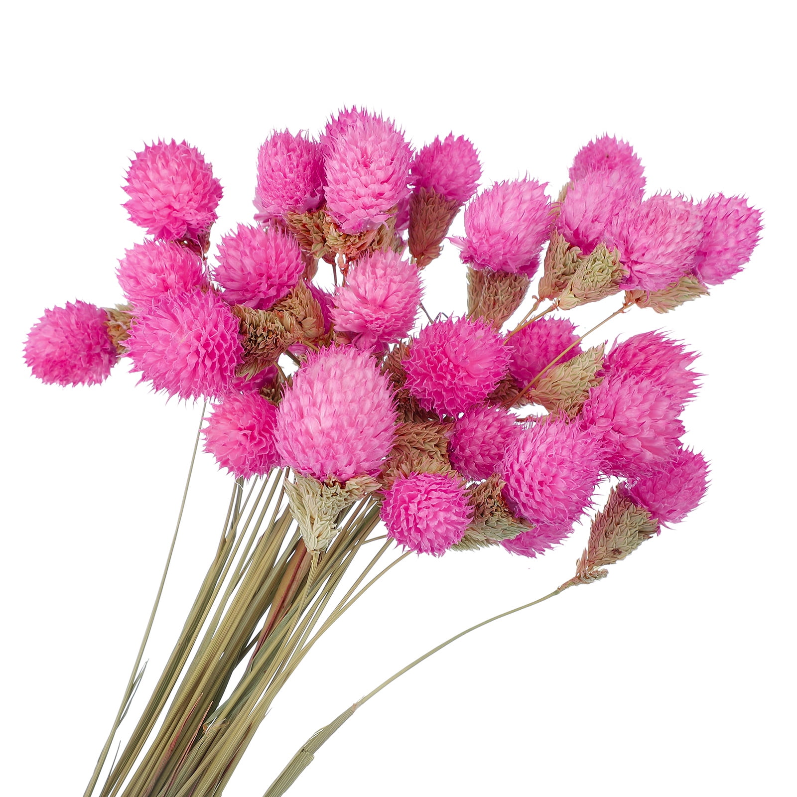 Uxcell 30Pcs 16 inch Dried Flowers for Vase Mini Pine Ball Flowers Rose Red