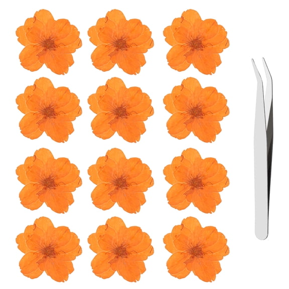 Uxcell Dried Pressed Flowers for Craft 12Pcs, Dry Cherry Blossom with Tweezers Real Natural Dried Pressed Flowers - for Resin Crafts Jewelry Candle Soap Making Cake Card, Orange