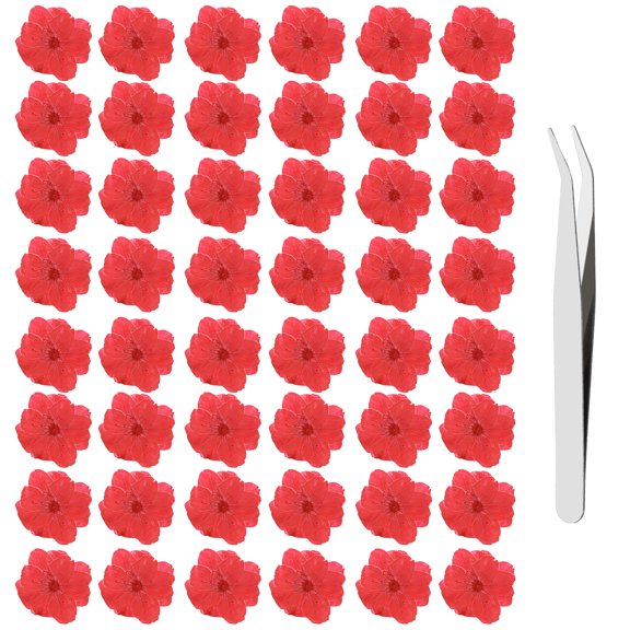 Uxcell Dried Pressed Flowers for Craft 48Pcs, Dry Cherry Blossom with Tweezers Real Natural Dried Pressed Flowers - for Resin Crafts Jewelry Candle Soap Making Cake Card, Red
