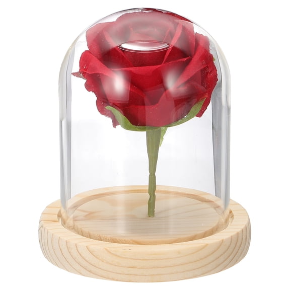 Uxcell Glass Cloche Display Dome, 3.9" x 3.1" Glass Dome Display Case Tabletop Jar Display Case for Home Plants, Natural