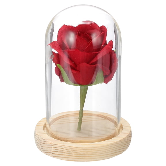 Uxcell Glass Cloche Display Dome, 4.7" x 2.7" Glass Dome Display Case Tabletop Jar Display Case for Home Plants, Natural