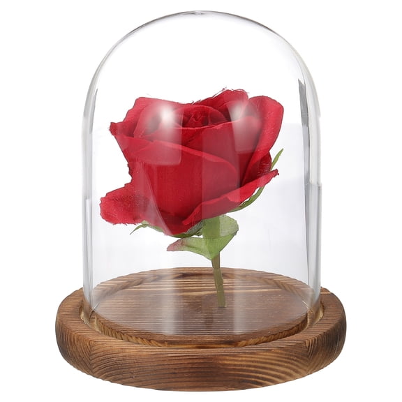 Uxcell Glass Cloche Display Dome, 4.7" x 3.5" Glass Dome Display Case Tabletop Jar Display Case for Home Plants, Wood