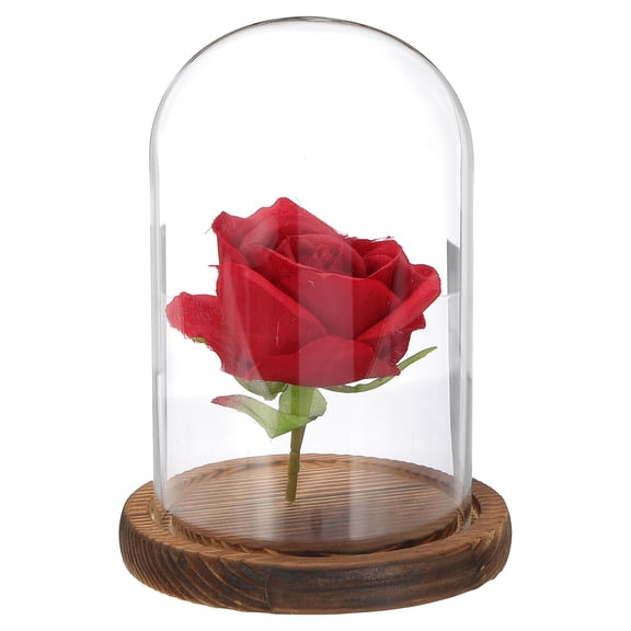 Uxcell Glass Cloche Display Dome, 5.9" x 3.5" Glass Dome Display Case Tabletop Jar Display Case for Home Plants, Wood