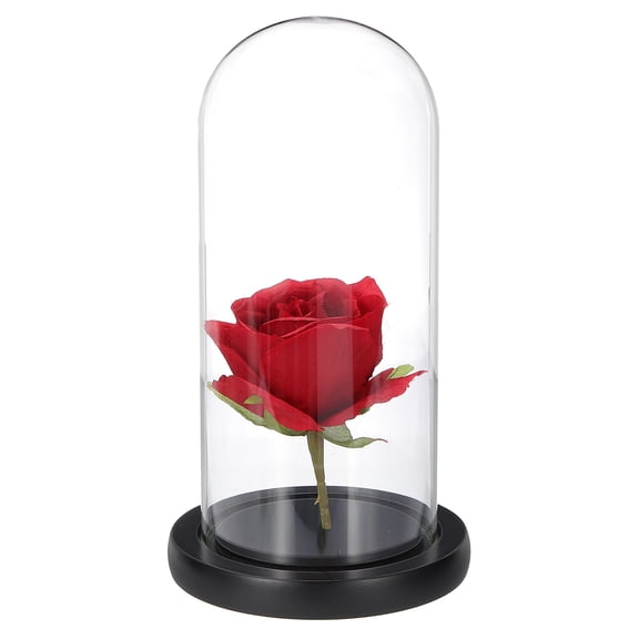 Uxcell Glass Cloche Display Dome, 7.8" x 3.5" Glass Dome Display Case Tabletop Jar Display Case for Home Plants, Black