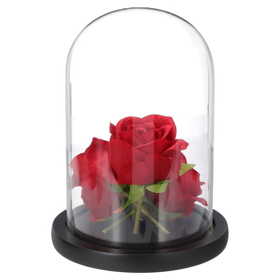 Uxcell Glass Cloche Display Dome, 7" x 4.7" Glass Dome Display Case Tabletop Jar Display Case for Home Plants, Black