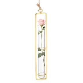 Uxcell Hanging Clear Glass Hydroponic Plant Propagation Tube Vase, Hydroponic Plant Propagation Station Terrarium Container for Home Balcony Wall Decoration (2.5cm x 20cm Tube, Gold)
