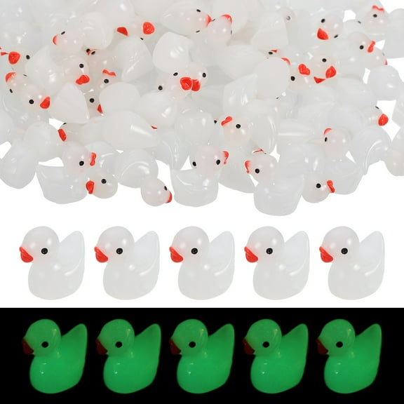 Luminous Mini Resin Ducks, Cute Glow in the Dark Tiny Ducks to Hide Miniature Figures Bulk Perfect for Dollhouse & Micro Fairy Garden & Landscape(White, 60pcs)