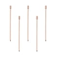 thumbnail image 1 of Uxcell Metal Cocktail Toothpicks Cylinder Drink Picks Cocktail Skewers 5Pack (Rose Gold), 1 of 8