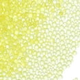 thumbnail image 1 of Uxcell Mini Glass Bubble Beads Tiny Iridescent Beads No Hole Water Droplet Balls for DIY Crafting Nail Art Resin Filler Yellow, 1 of 5