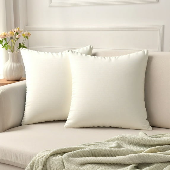 REGALWOVEN Pack of 2 Velvet Decorative Throw Pillow Covers Modern Cushion Covers with Zipper Beige 16" x 16"