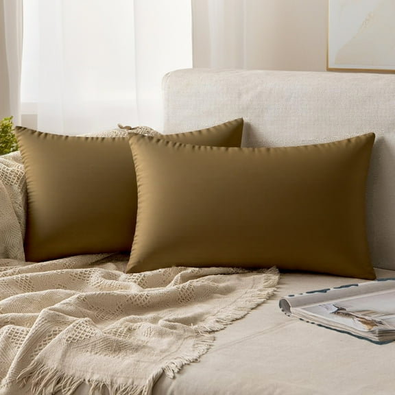 REGALWOVEN Pack of 2 Velvet Decorative Throw Pillow Covers Modern Cushion Covers with Zipper Brown 12" x 20"