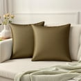 thumbnail image 1 of REGALWOVEN Pack of 2 Velvet Decorative Throw Pillow Covers Modern Cushion Covers with Zipper Brown 20" x 20", 1 of 6