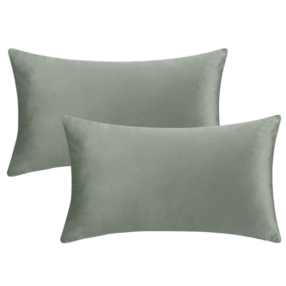 REGALWOVEN Pack of 2 Velvet Decorative Throw Pillow Covers Modern Cushion Covers with Zipper Grey 12" x 20"
