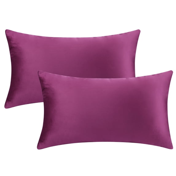REGALWOVEN Pack of 2 Velvet Decorative Throw Pillow Covers Modern Cushion Covers with Zipper Purple 12" x 20"