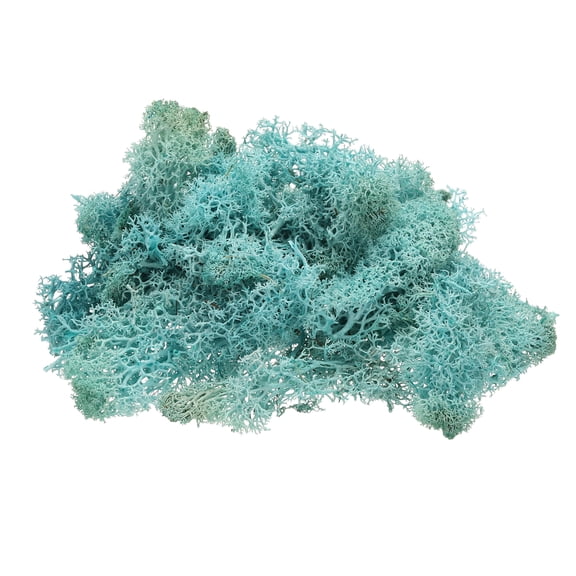 Uxcell Preserved Reindeer Moss, 4 oz Fake Moss for Crafts Artificial Dried Moss (Blue)