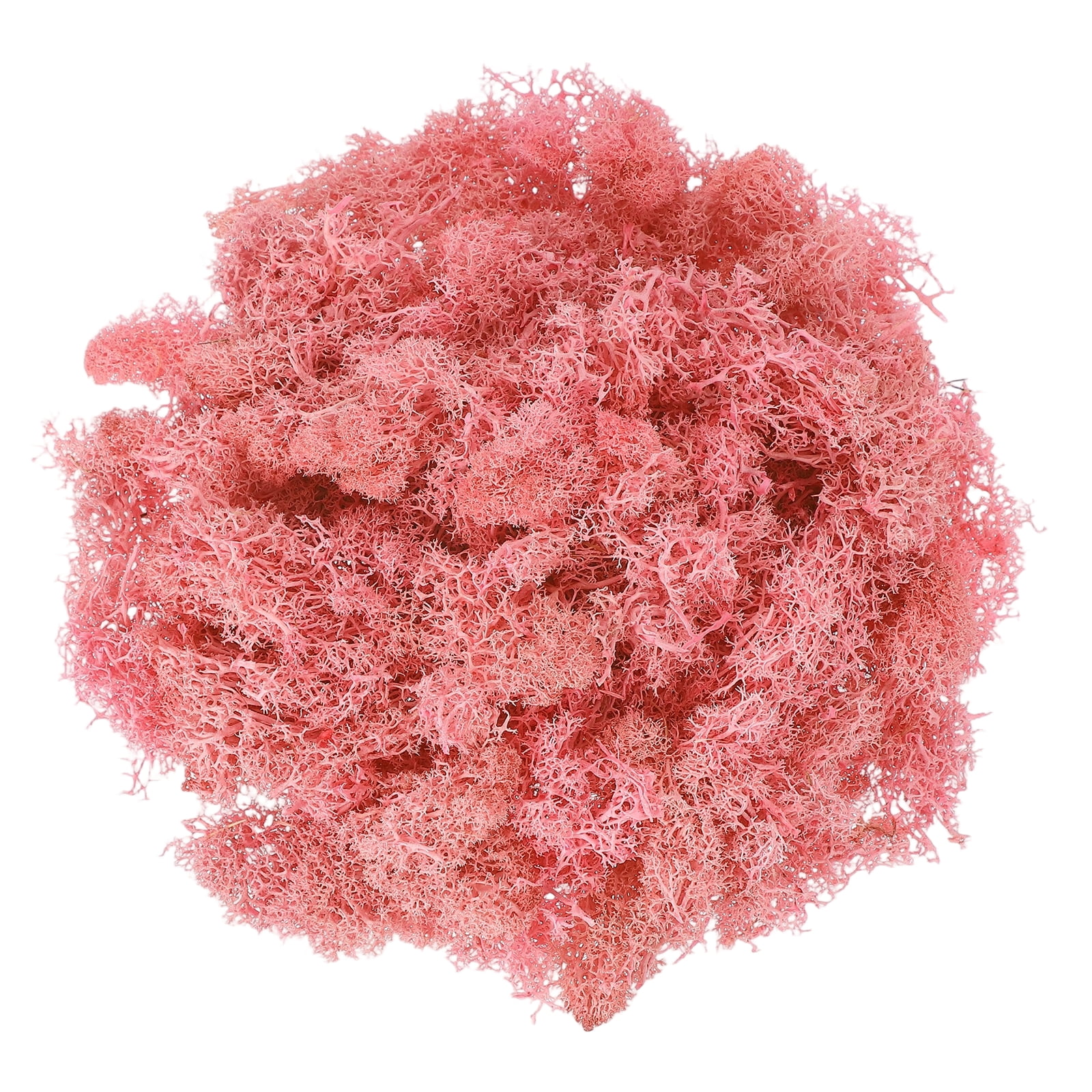 Uxcell Preserved Reindeer Moss 17.6oz Fake Moss for Crafts Artificial Dried Moss for Decoration Terrariums Light Pink