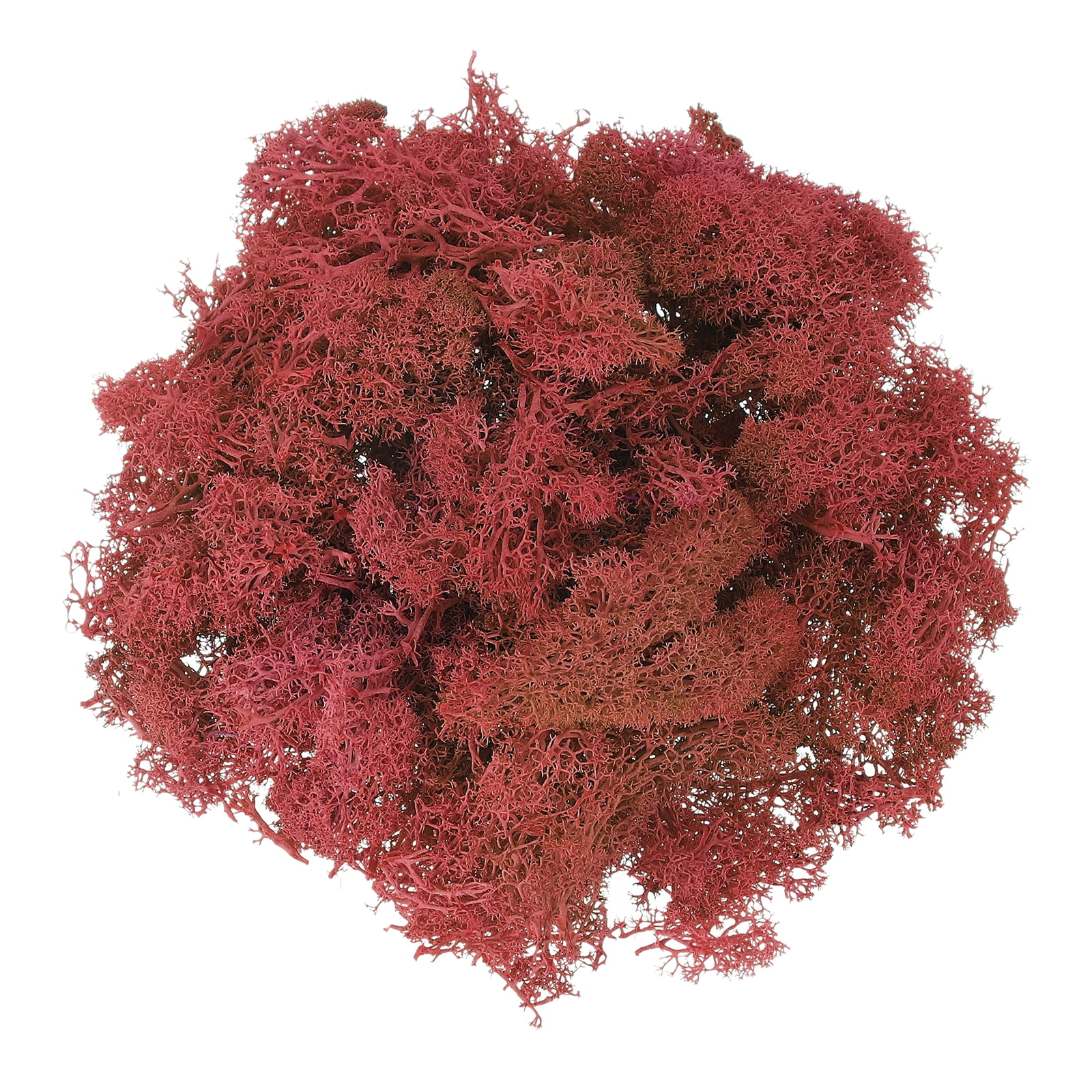 Uxcell Preserved Reindeer Moss 17.6oz Fake Moss for Crafts Artificial Dried Moss for Decoration Terrariums Dark Red