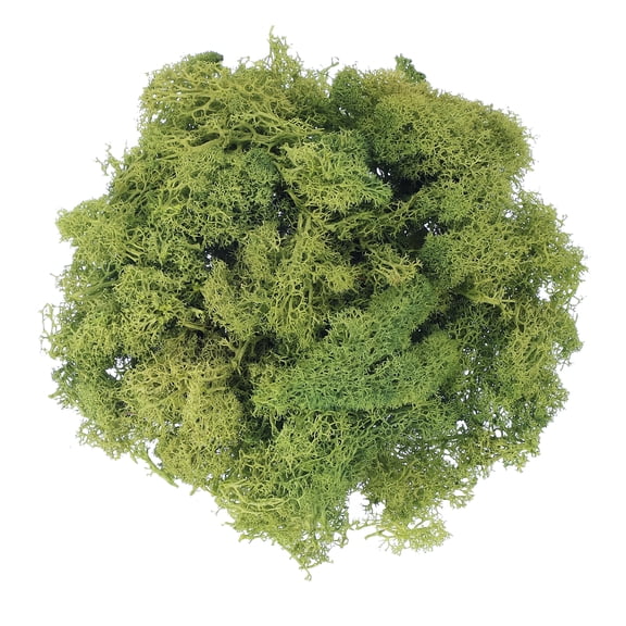 Uxcell Preserved Reindeer Moss 17.6oz Fake Moss for Crafts Artificial Dried Moss for Decoration Terrariums Dark Green