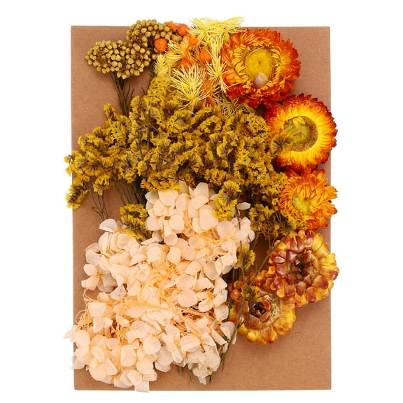 Uxcell Pressed Flowers for Craft Bulk Dried Flowers Natural Pressed Flowers Leaves Orange Series
