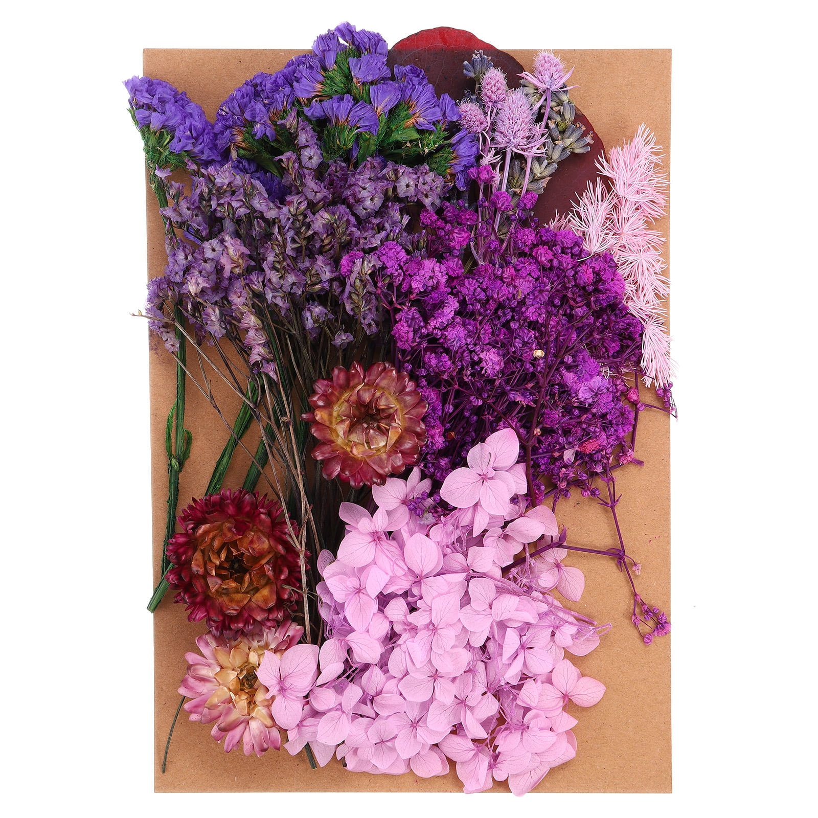 Uxcell Pressed Flowers for Craft Bulk Dried Flowers Natural Pressed ...