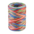 thumbnail image 1 of Uxcell Raffia Paper Craft Rope Handmade Twisted Paper Craft String Cord Rope for Decoration Gift Packaging Dark Blue, Orange, Red, Green, 1 of 6
