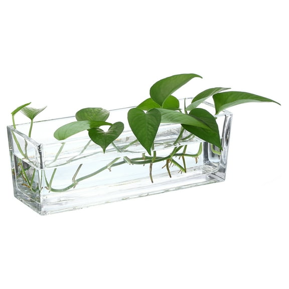 Uxcell 1 Pcs Rectangular Glass Vase 9.84 x 3.94 x 3.94" Clear Planter Terrarium for Wedding