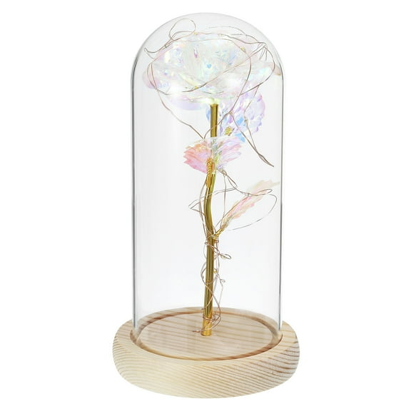 Uxcell Roses Flower in Glass Dome Crystal Flower Gifts Display with LED Fairy Light White