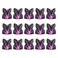 thumbnail image 1 of Uxcell Standard Dart Flights, 30 Pack Flights V-Element Pattern, Light Purple, 1 of 5