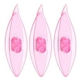 thumbnail image 1 of Uxcell Tatting Shuttles 77x21x11mm Colorful Plastic Shuttles 3 Pack, Transparent Pink, 1 of 5