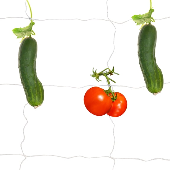 Uxcell Trellis Netting 29.5 x 9.8ft 1 Strands 6" x 6" Polyester Wire White