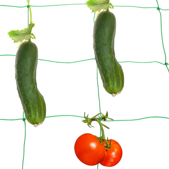 Uxcell Trellis Netting for Climbing Plants 6 x 9ft 18 Strands Heavy Duty Garden Trellis Netting Polyethylene Plant Support Net with 4" x 4" Mesh for Fruits Vegetables Cucumber