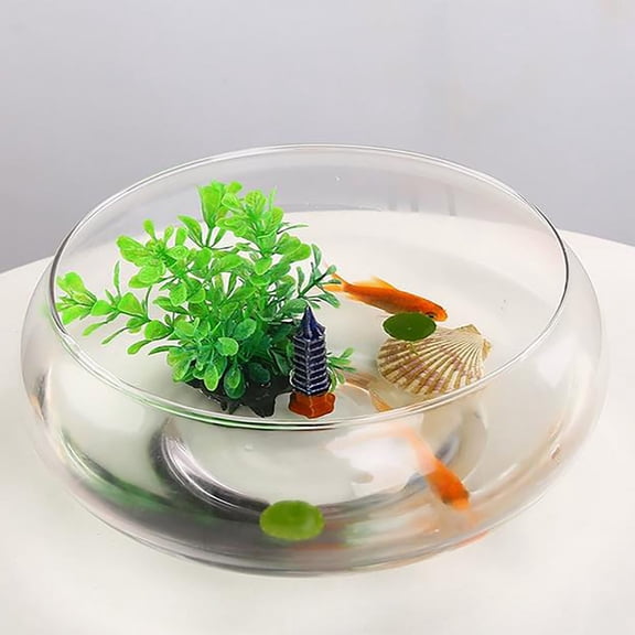 Uxgjfwu Hydroponic Pot Glass Large for Turtle Grass Narcissus, Transparent Water Vessel Flower Bowl, Home Garden Decor Planter