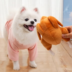 Uxgjfwu Roast Chicken Turkey Plush Toy for Pets, Soft Stuffed Animal Toy for Dogs and Cats, Chew Resistant Pet Toy for Play, Training, Interactive Fun