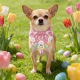 thumbnail image 1 of Uxgjfwu St. Patrick's Day Holiday Dog Scarf, Adjustable Pet Handkerchief for Easter, Festive Accessory for Small and Medium Dogs, Green Design, Comfortable, 1 of 2