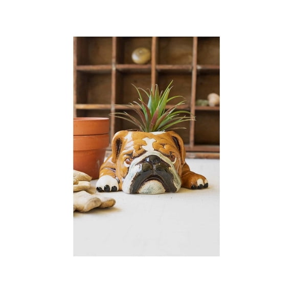 Kalalou Ceramic Bulldog Planter, 5"D x 7.5"W x 4"H, Brown