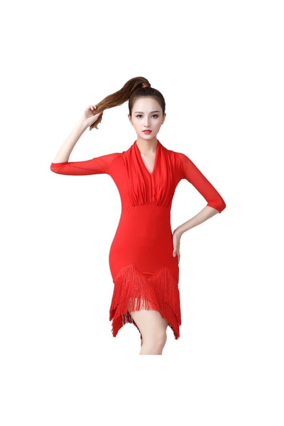 V Neck Sheer Mesh Sleeve Ruched Latin Salsa Tango Fringe Dance Dresses Attire