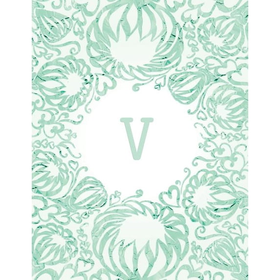 V (Paperback)