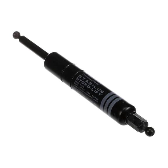 V RAM 300N 302504 - Genuine OEM Replacement Part