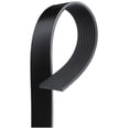 thumbnail image 1 of V-Ribbed Serpen (PARITY), 1 of 4