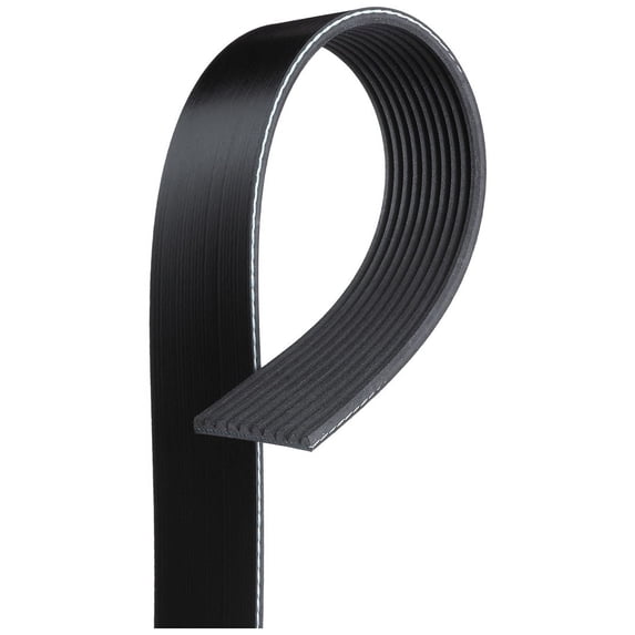 V-Ribbed Serpen (PARITY)