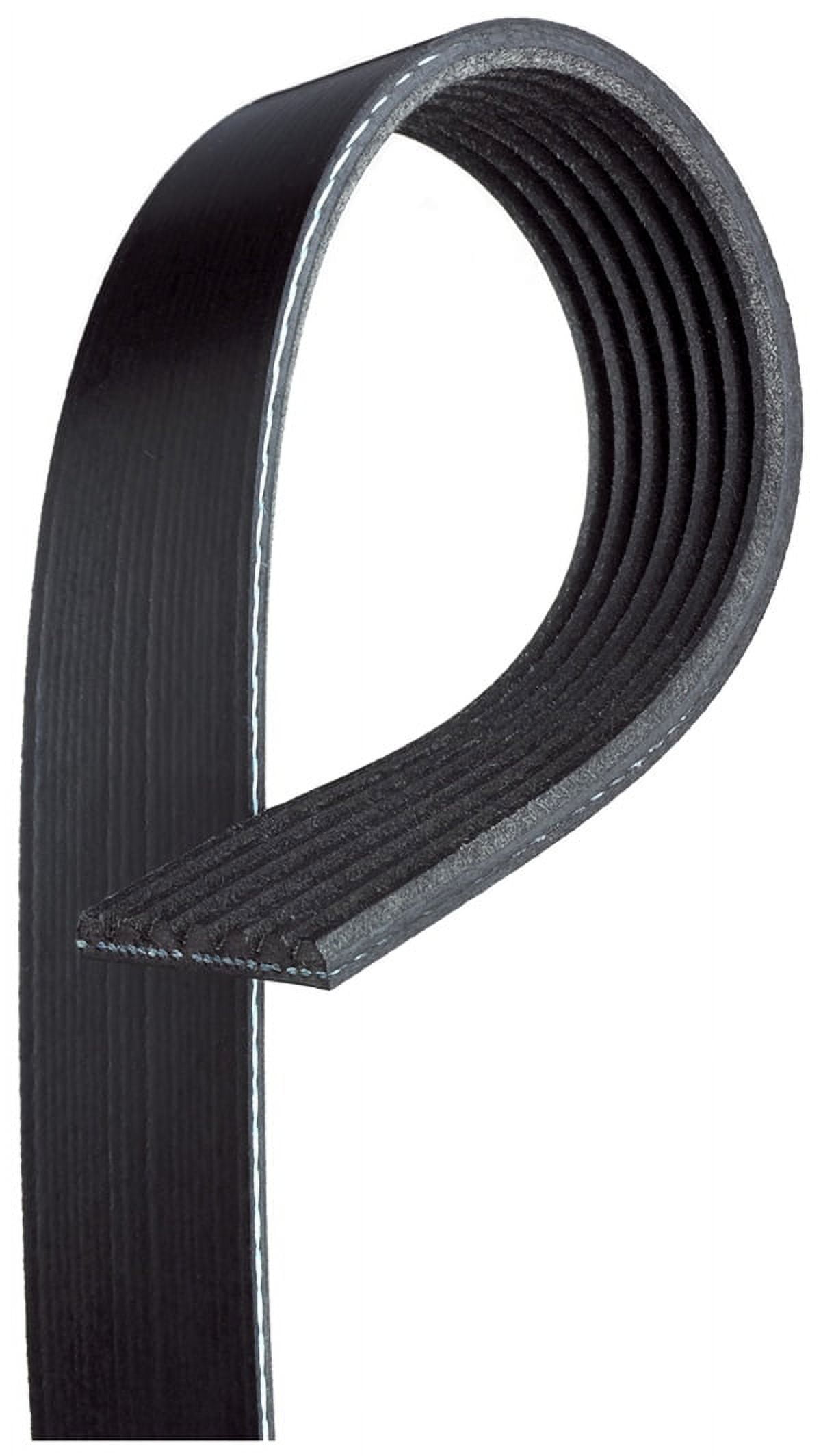 V-Ribbed Serpen (PARITY)