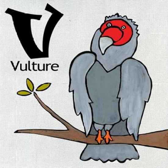 V - Vulture Canvas Art - Shanni Welsh (24 x 24)