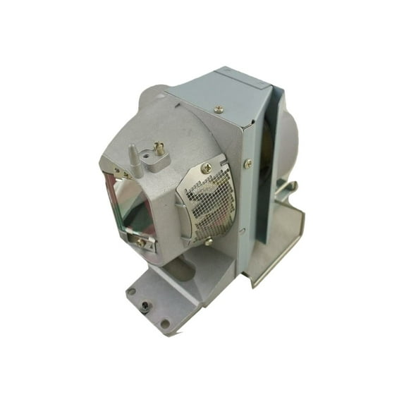 Replacement Lamp for RLC-049