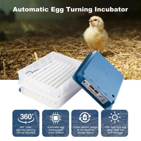 VAHIGCY Automatic Egg Hatcher Intelligent Automatic Egg Hatcher Precise Temperature Control Poultry Hatcher Machine for Quail Pigeon Chicken and Duck Eggs enhanced