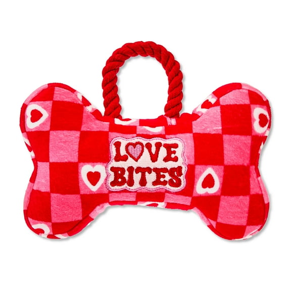 Vibrant Life Valentine's Day Plush Bone Dog Toy with Rope, Red and Pink, 7.5"
