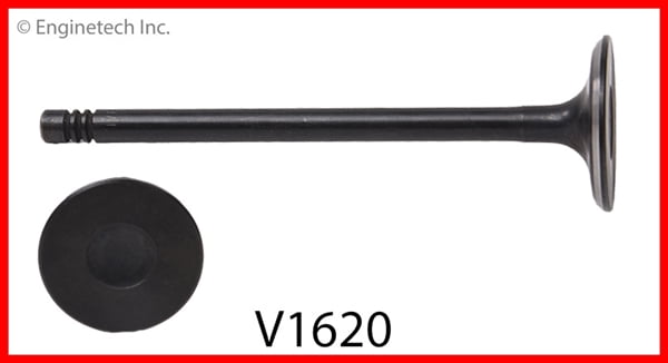 VALVE 1 INT FORD 1.6L