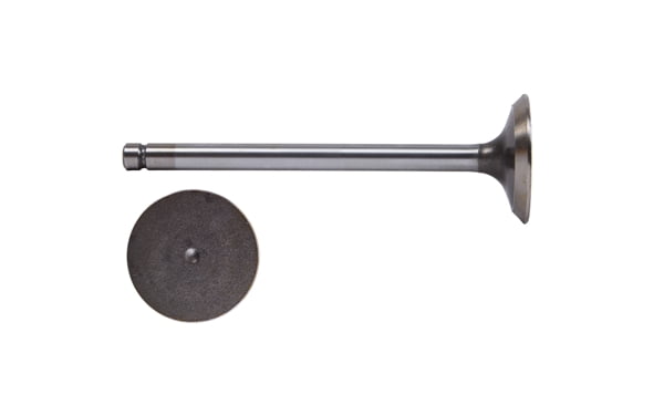 VALVE 1 INT GM SAT 1.9L