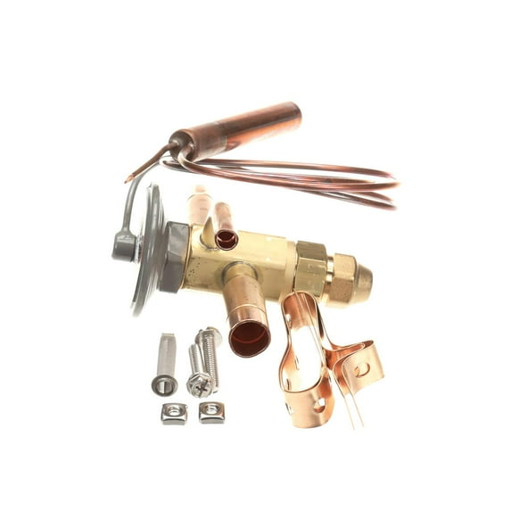 VALVE #EBFVE-AAA-C 72189 - Genuine OEM Replacement Part