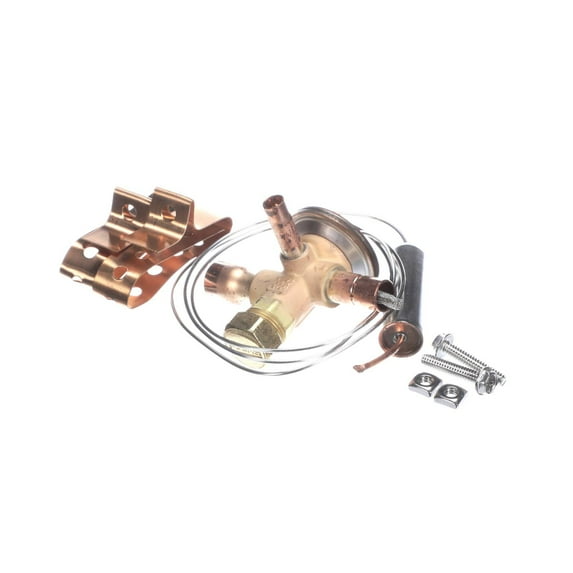VALVE EFVE-1-CP 21-05364 - Genuine OEM Replacement Part